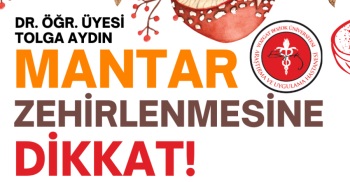 MANTAR ZEHİRLENMESİNE DİKKAT!