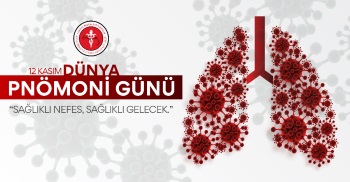 12 KASIM DÜNYA PNÖMONİ GÜNÜ