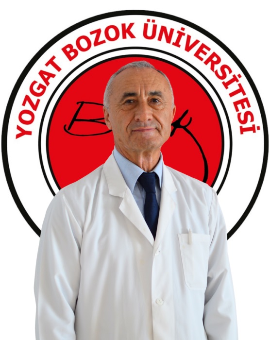 Arş. Gör. BANU GANNEMOĞLU
