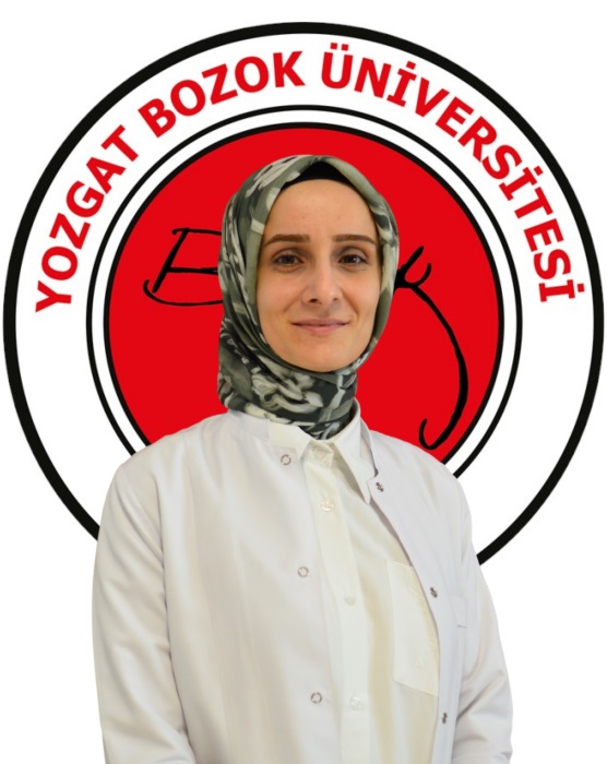 Arş. Gör. Buse Ceren AYDEMİR