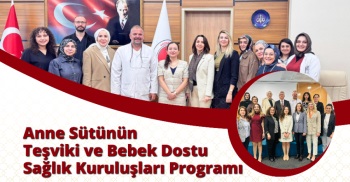 ANNE SÜTÜNÜN TEŞVİKİ VE BEBEK DOSTU SAĞLIK KURULUŞLARI PROGRAMI