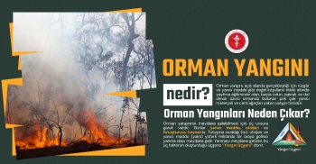 ORMAN YANGINI NEDİR?