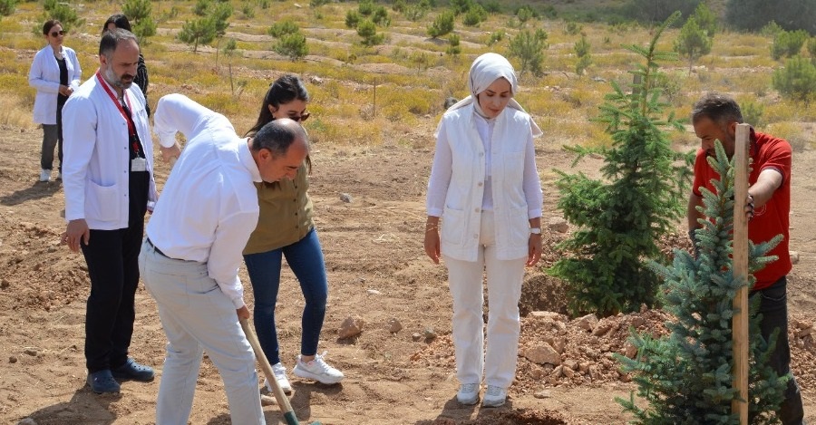 15 TEMMUZ ŞEHİTLERİ ANISINA FİDANLAR TOPRAKLA BULUŞTU