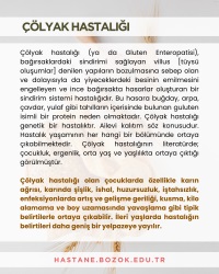 bozok üniversitesi