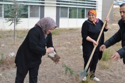 bozok üniversitesi