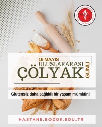 bozok üniversitesi