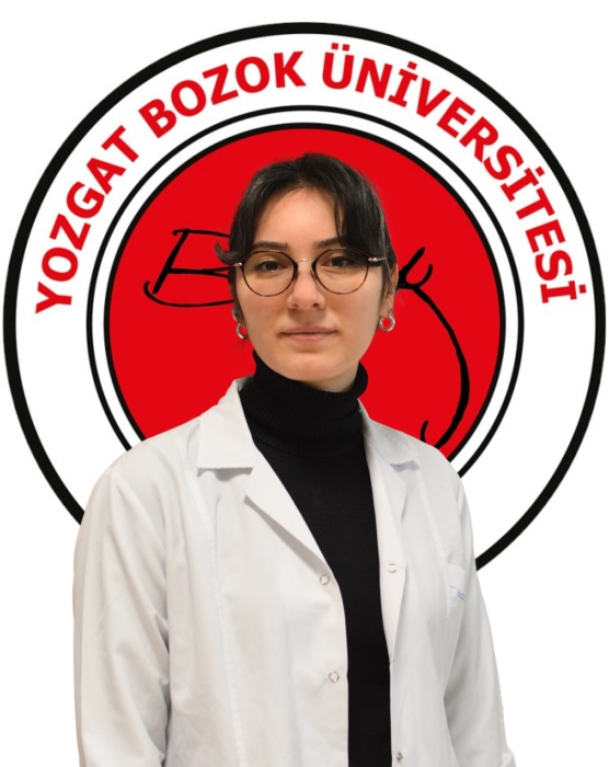 Dr. Öğr. Üyesi CEVDET YARDIMCI